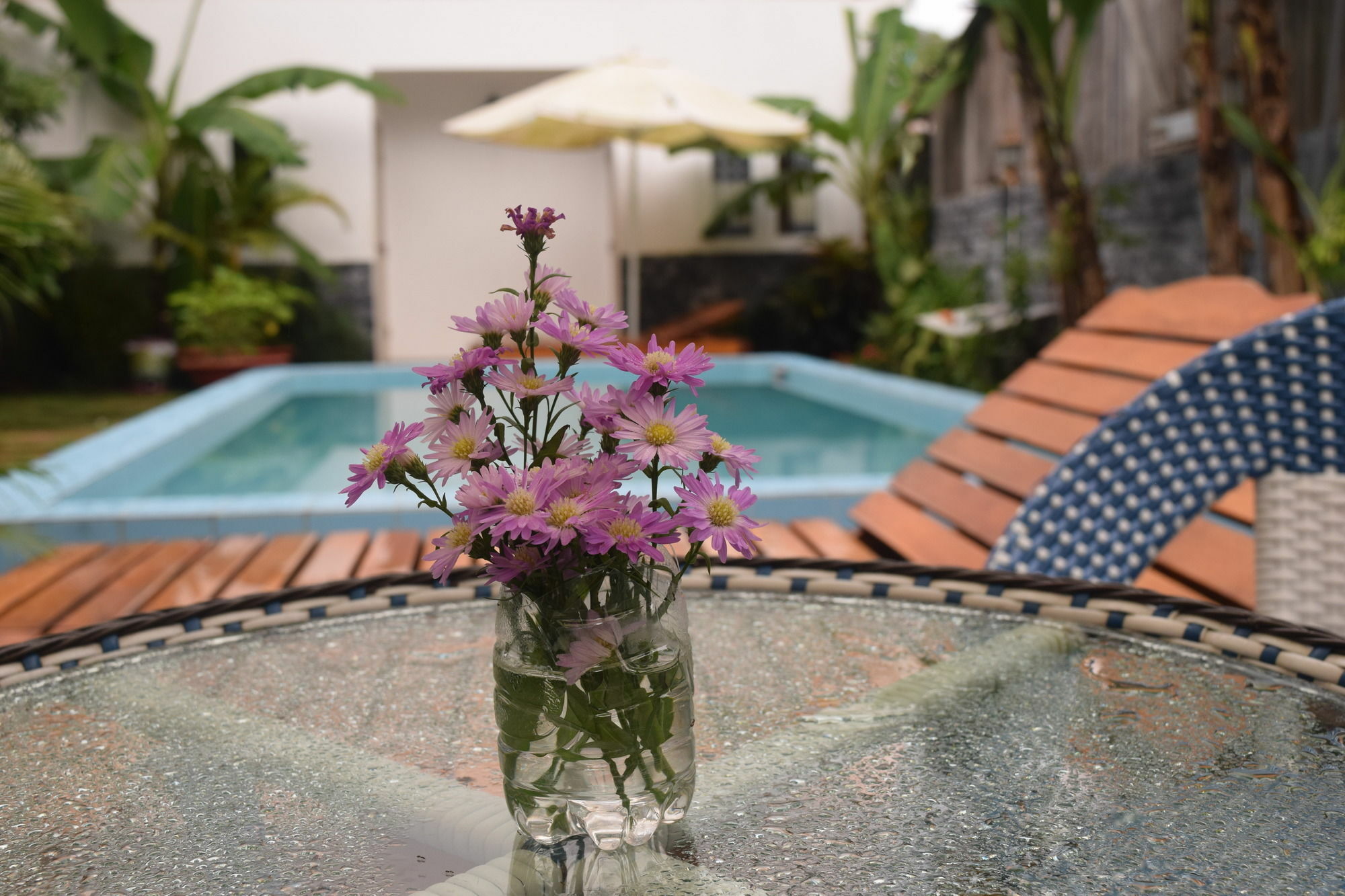 Orchid Guesthouse دونغ دونغ المظهر الخارجي الصورة